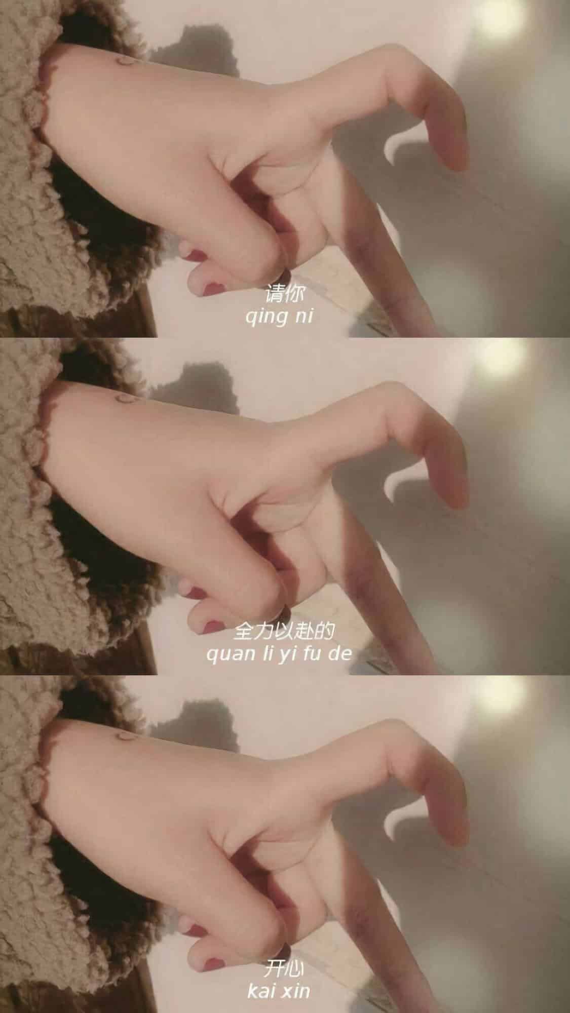 每日清晨满满正能量的经典语录句子大全_清晨满满正能量的句子