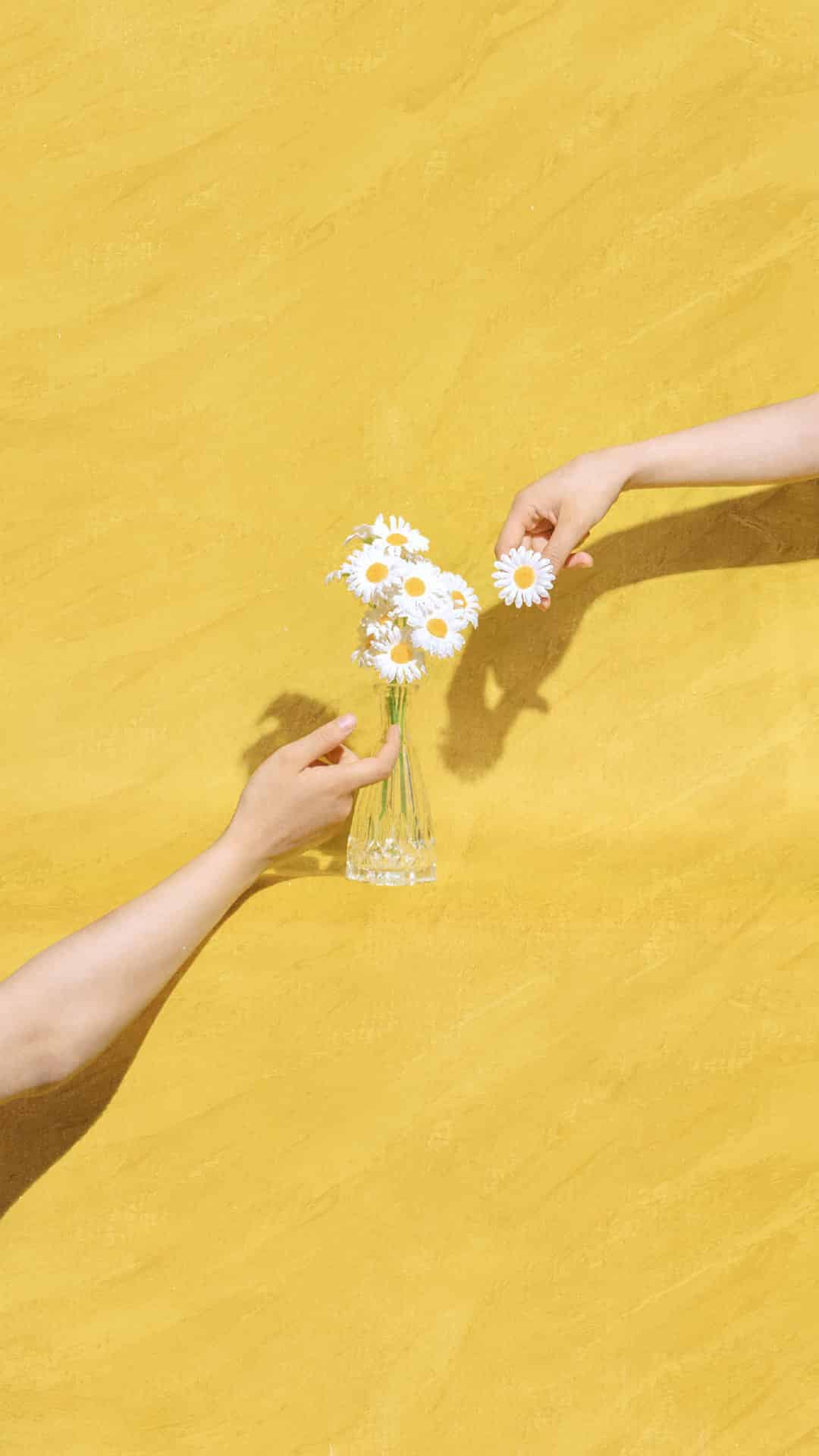 阳唯美句子_2021阳唯美句子