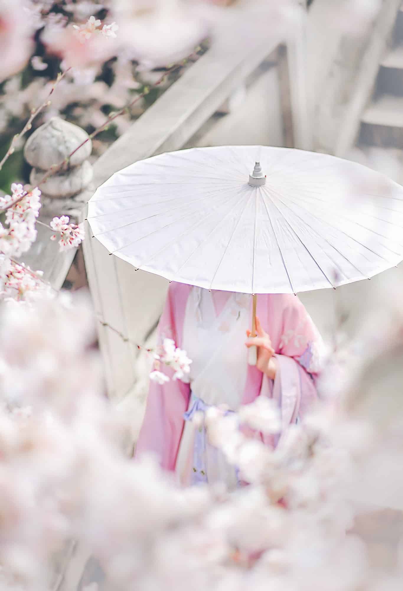 描写亦师亦友师生关系的唯美句子_亦师亦友的唯美句子
