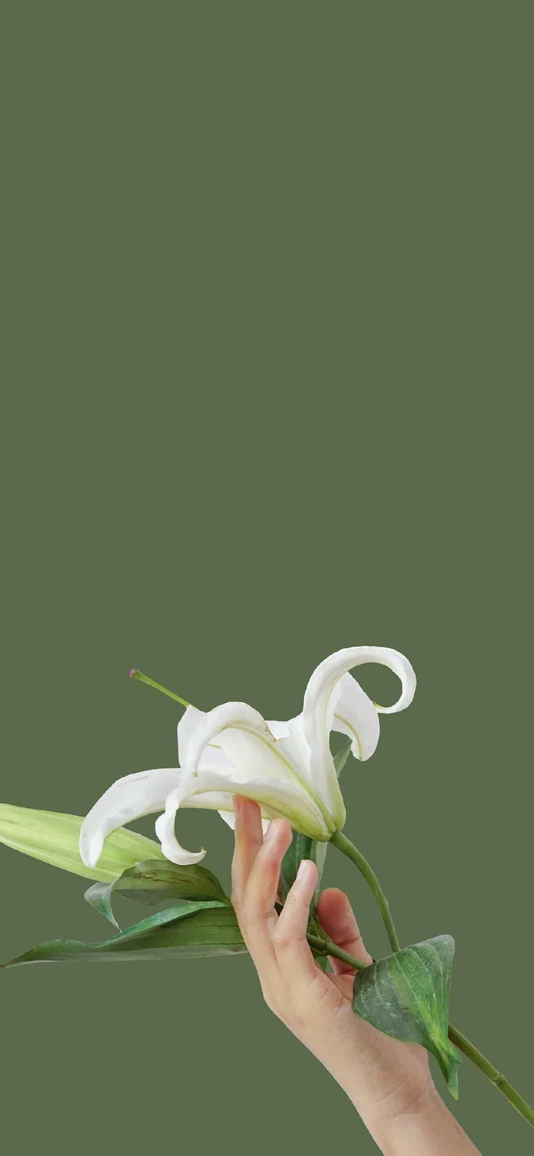 早安心语:不要给别人添堵,是一个人有教养的体现_一个人伤感句子