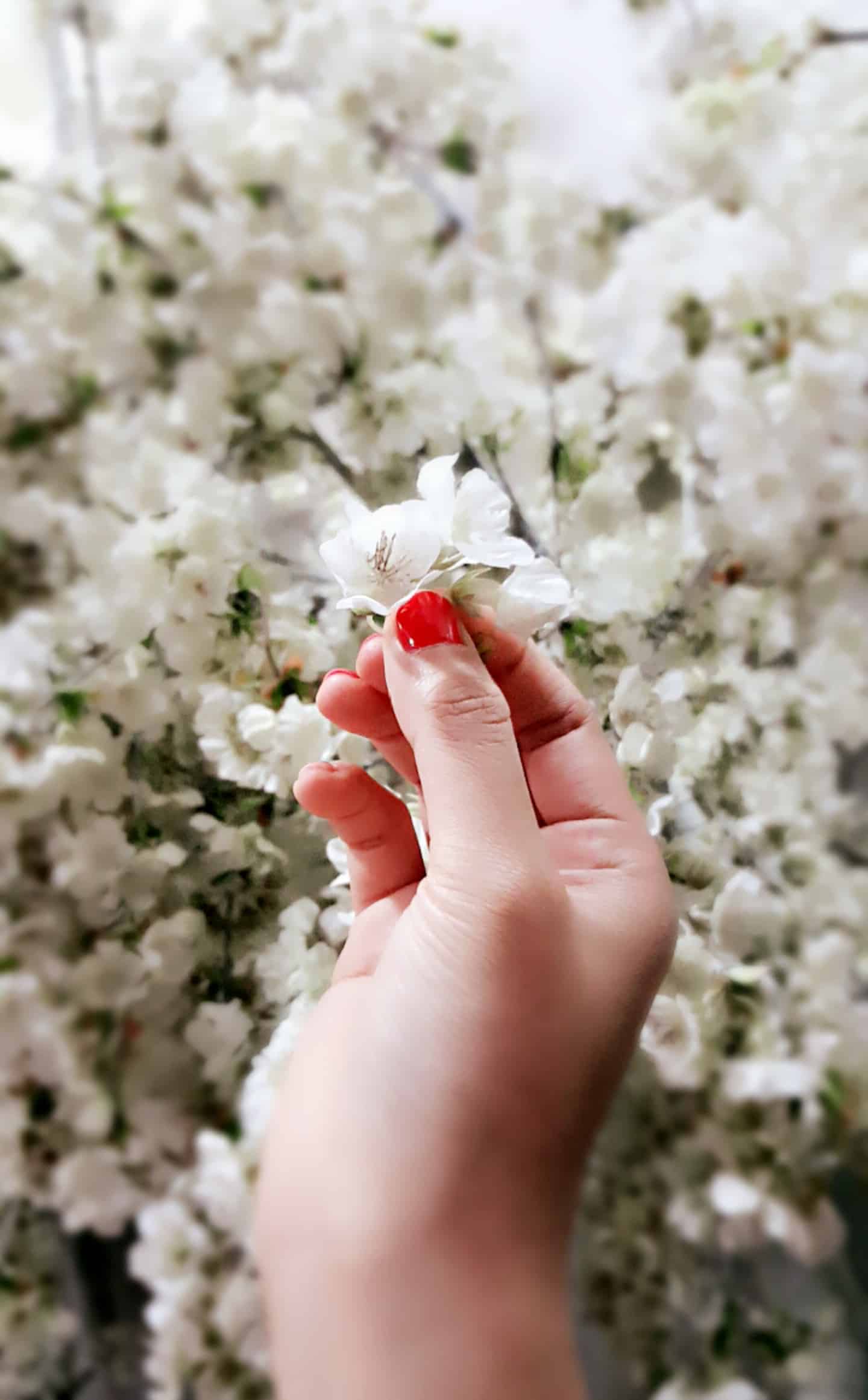 英文唯美小清新剪短句子精选60句